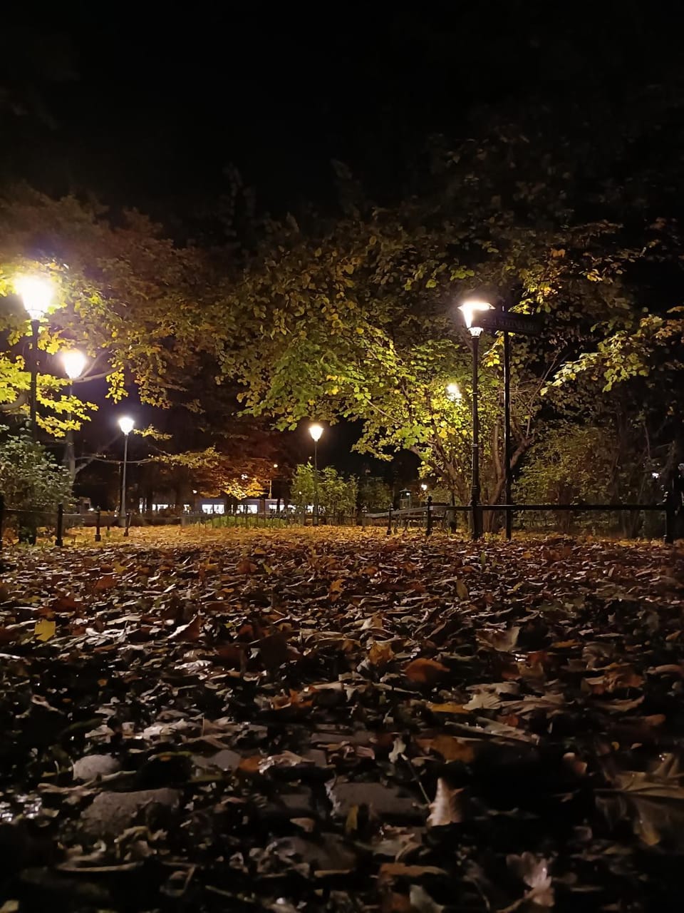 Night, Natural landscape