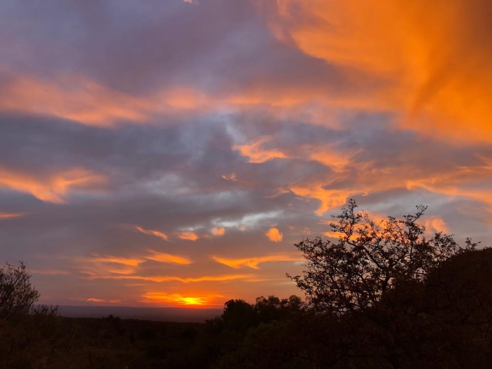 Garden, Sunset
