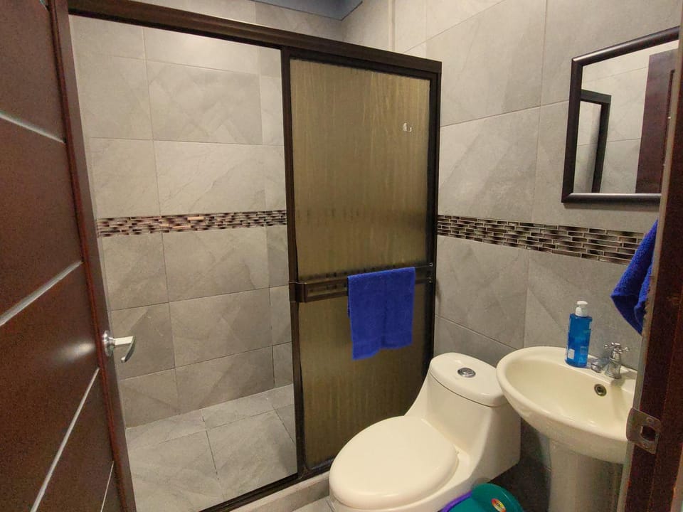 Shower, Toilet, Bathroom, bidet