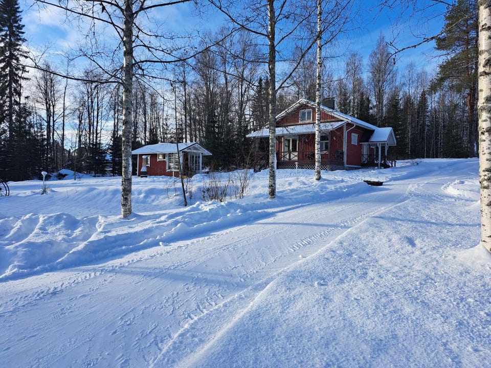 Ramin hirsipirtti House in Finland
