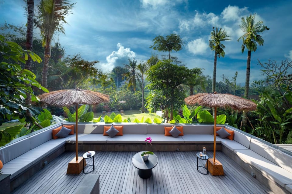 Day, Natural landscape, Garden, Garden view, sunbed