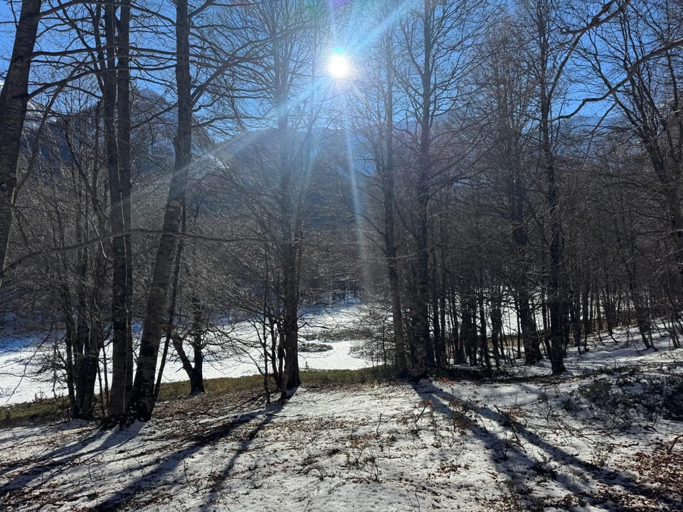 Piccola Marmotta Apartment in Ovindoli