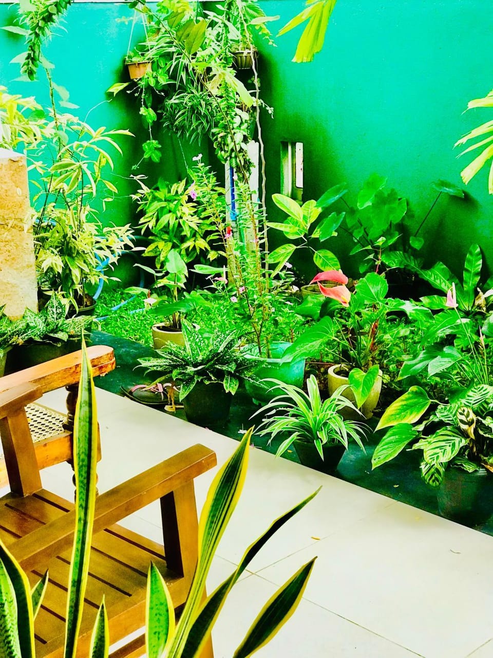 Sri White Villa Airport Boutique Hotel Bed and Breakfast in Western Province