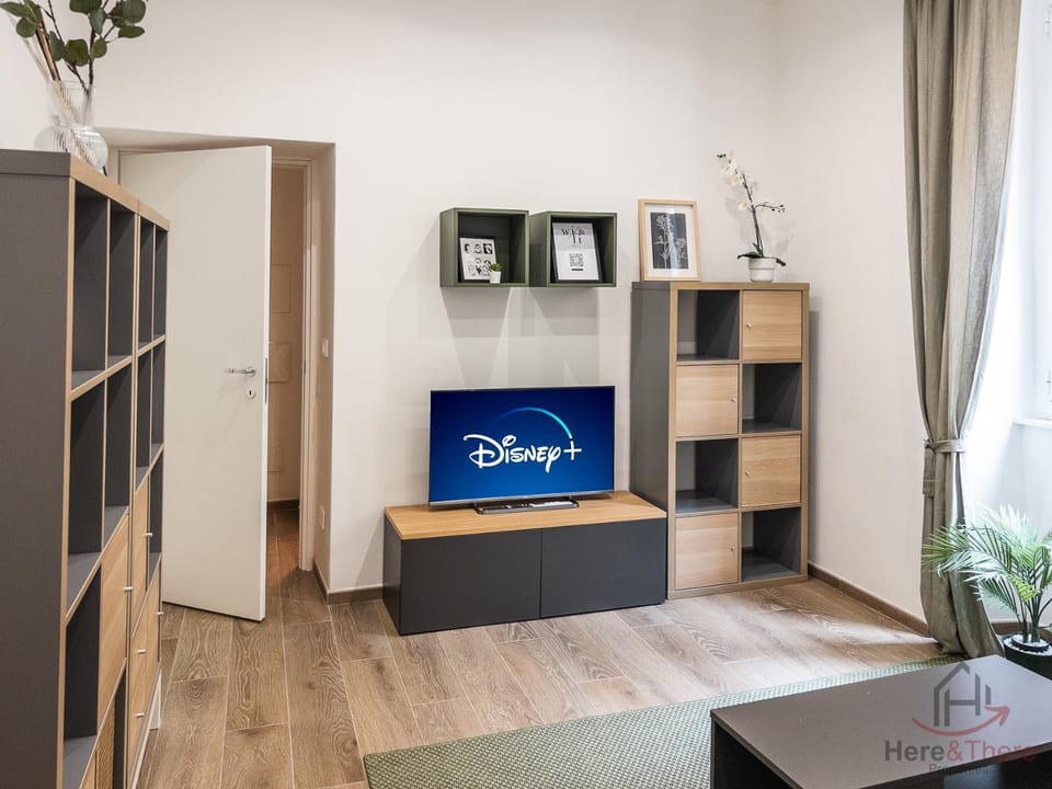 TV and multimedia, internet