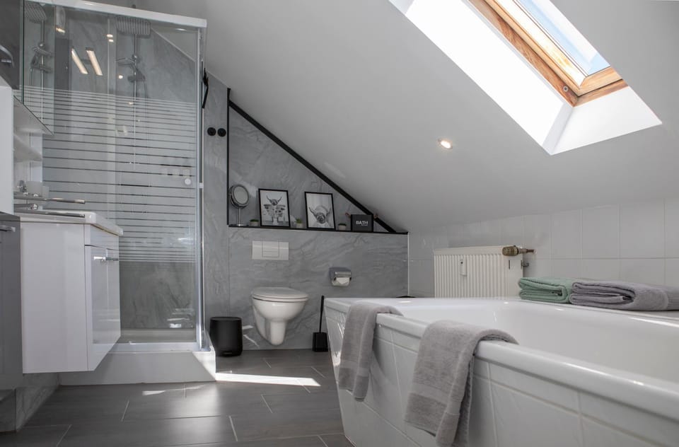 Toilet, Bathroom, Bath, towels, dryer
