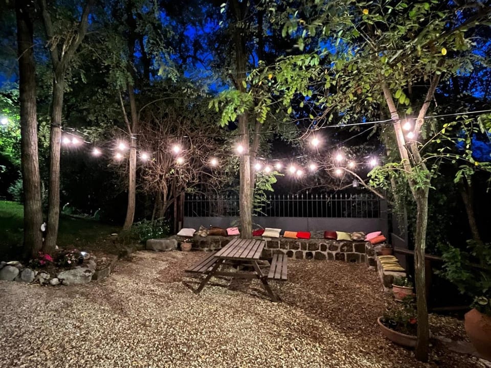 Night, Garden