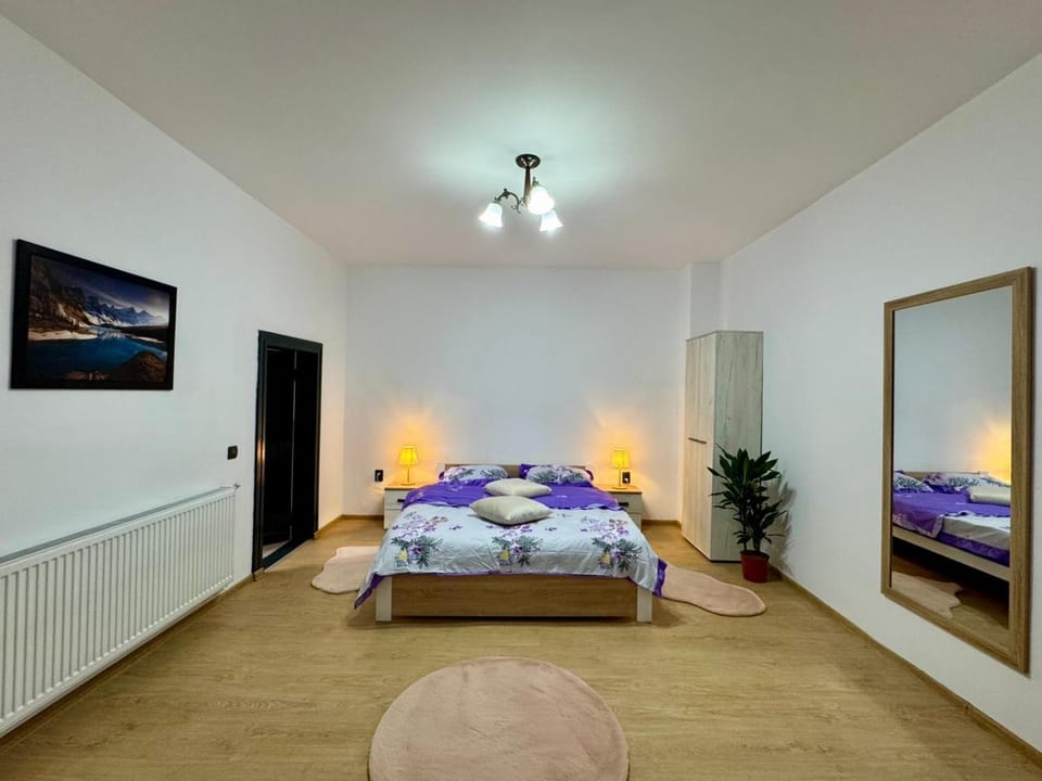Maria Studio And Apartment Apartment in Romania