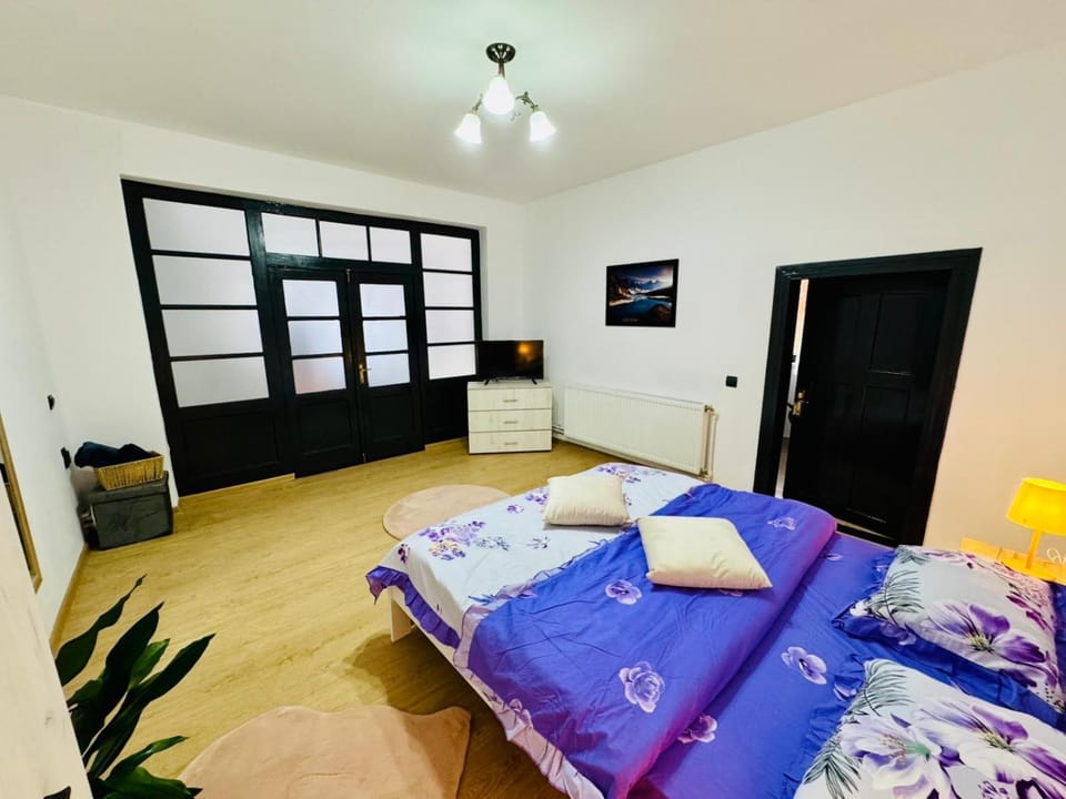 Maria Studio And Apartment Apartment in Romania