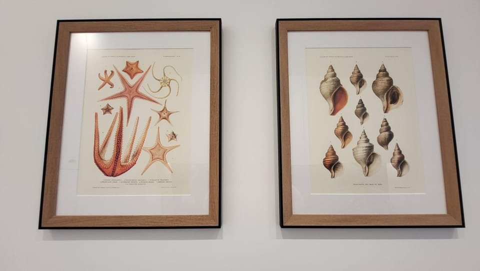 Decorative detail, kitchen