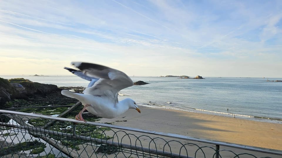 Patio, Balcony/Terrace, Sea view