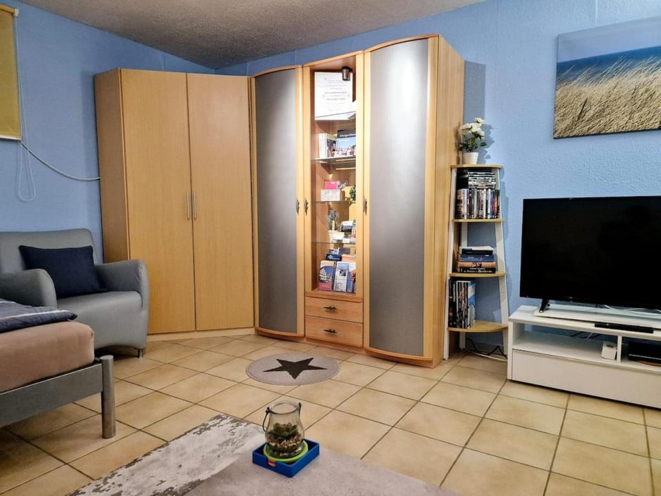 TV and multimedia, Living room, Evening entertainment, wardrobe