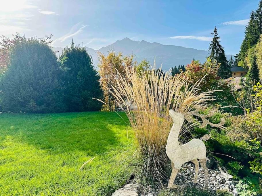 Garden, Garden view, Mountain view