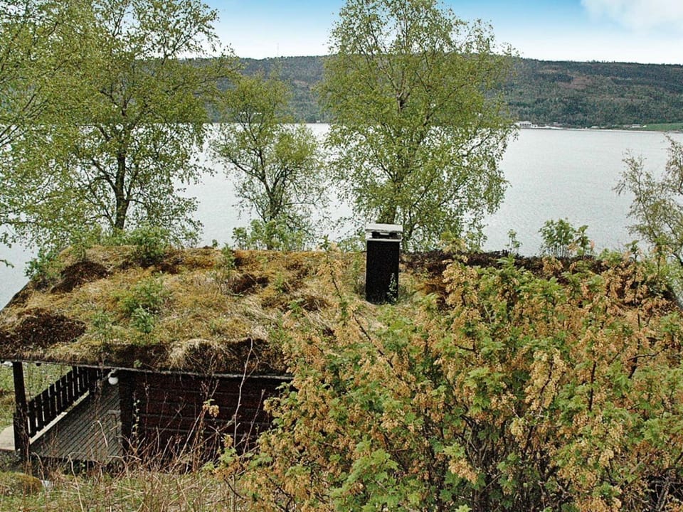 Lake view