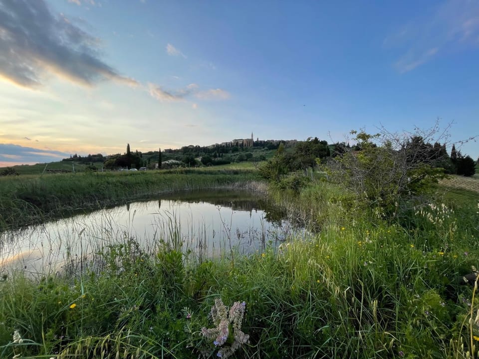 Nearby landmark, Natural landscape, Lake view