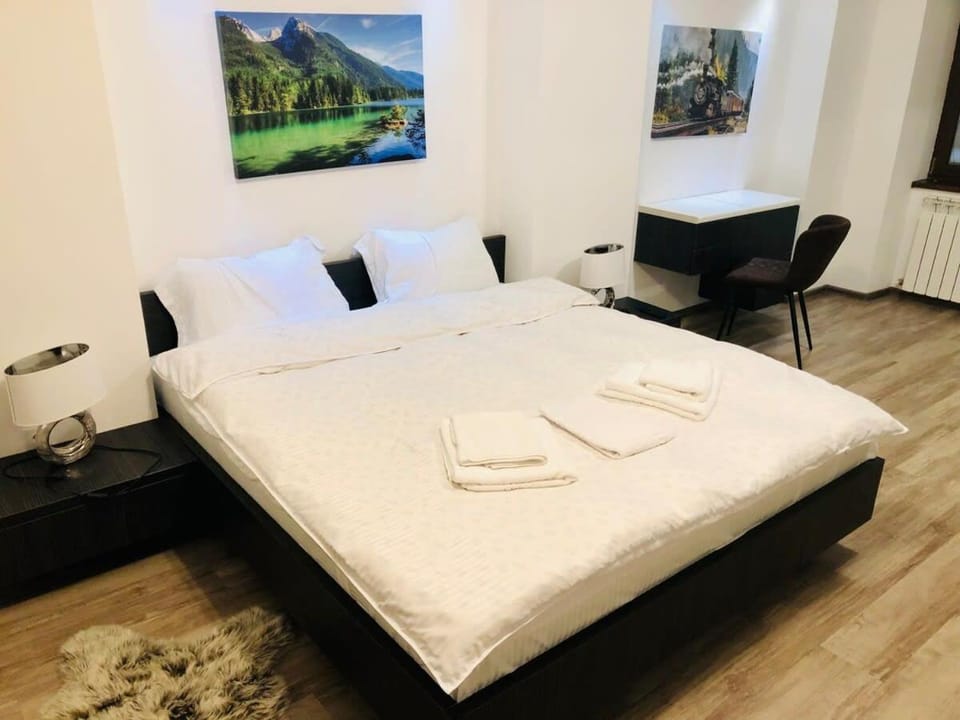 Joy City Stay Spacious Apartment in Brasov
