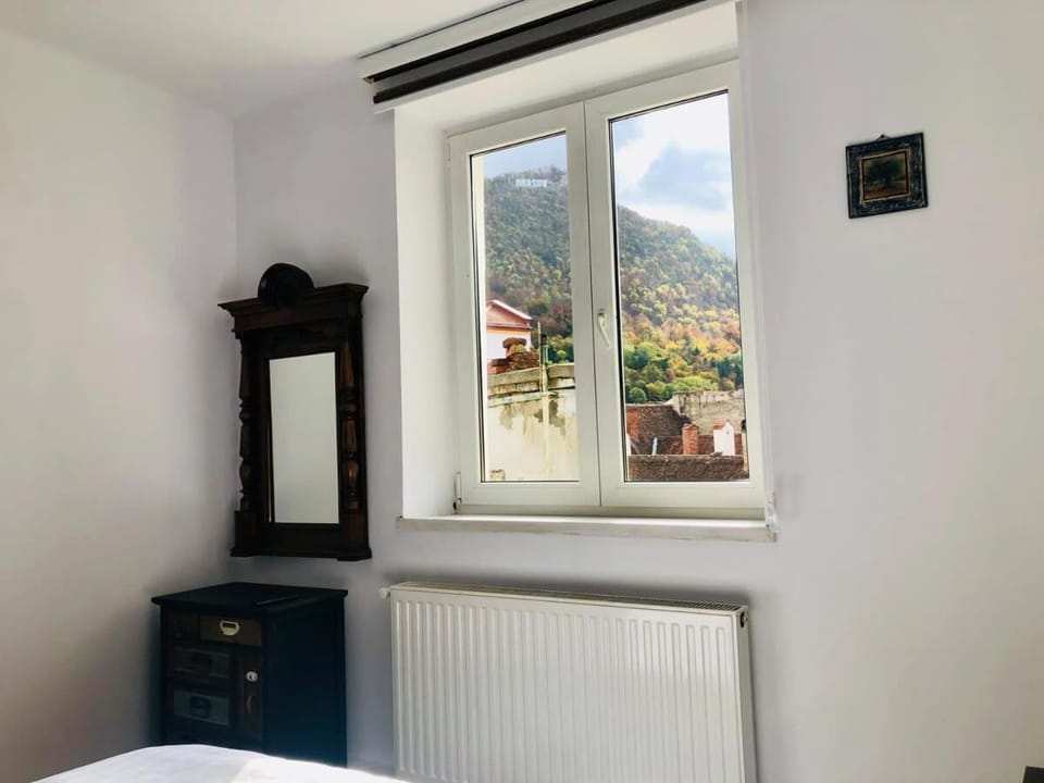 Joy City Stay Mountain View Apartment in Brasov