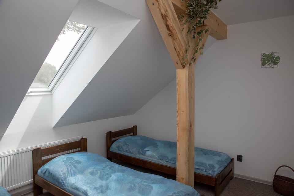 Zlaté slunce, apartmán 150m2, až 12 osob Apartment in Czechia
