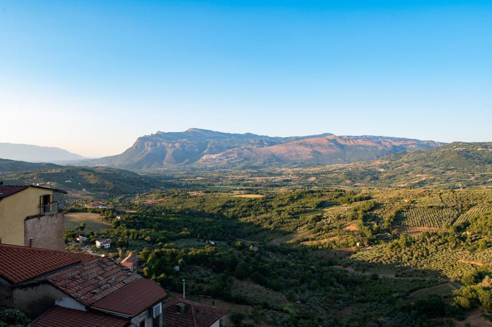 Mountain view