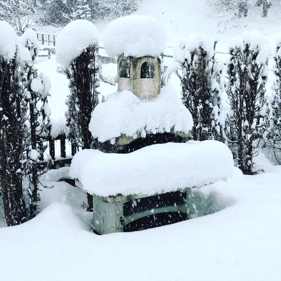Winter, Garden