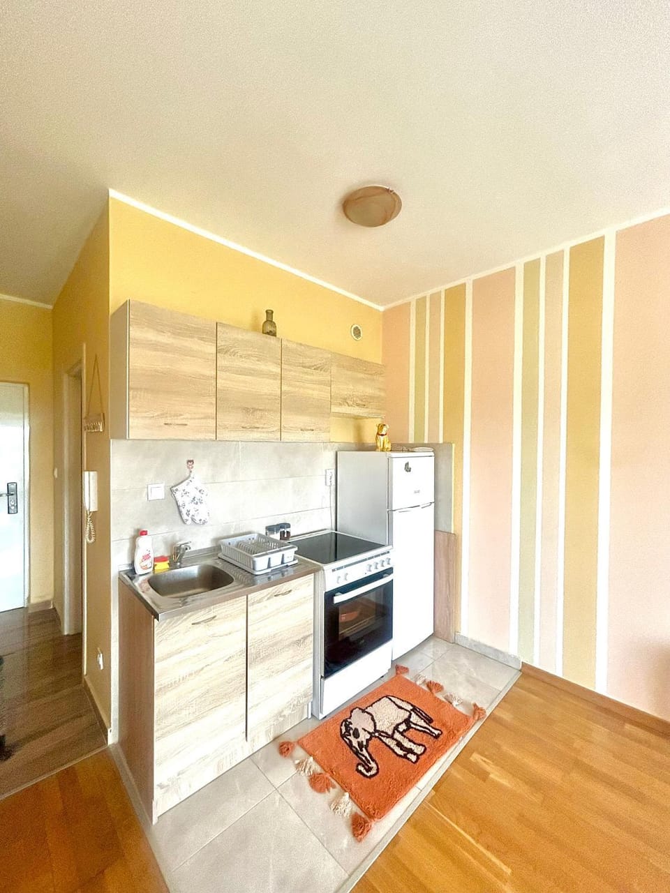 Charming studio Apartment in Podgorica