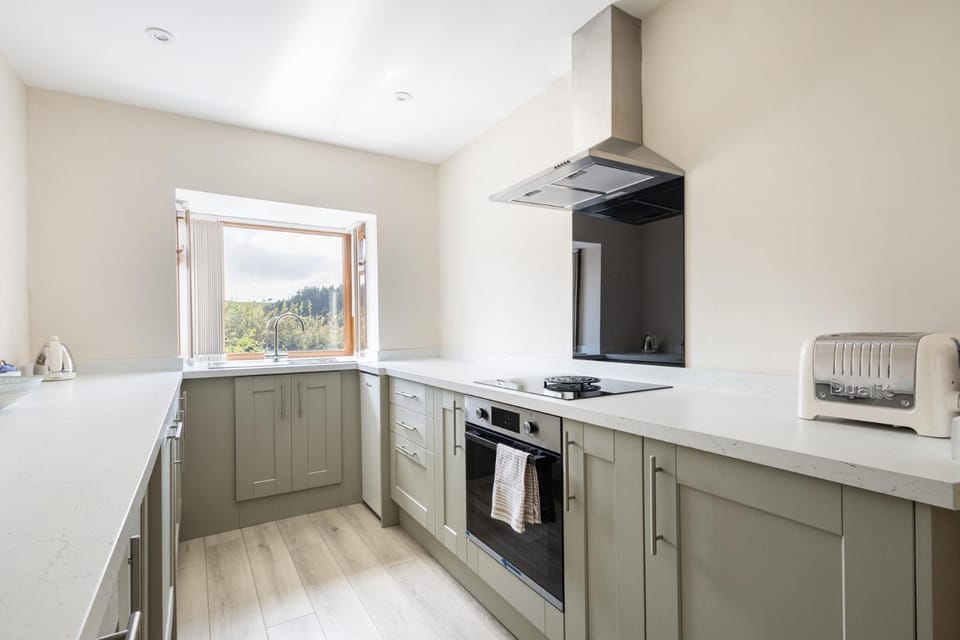 Kitchen or kitchenette, dishwasher, oven, stove