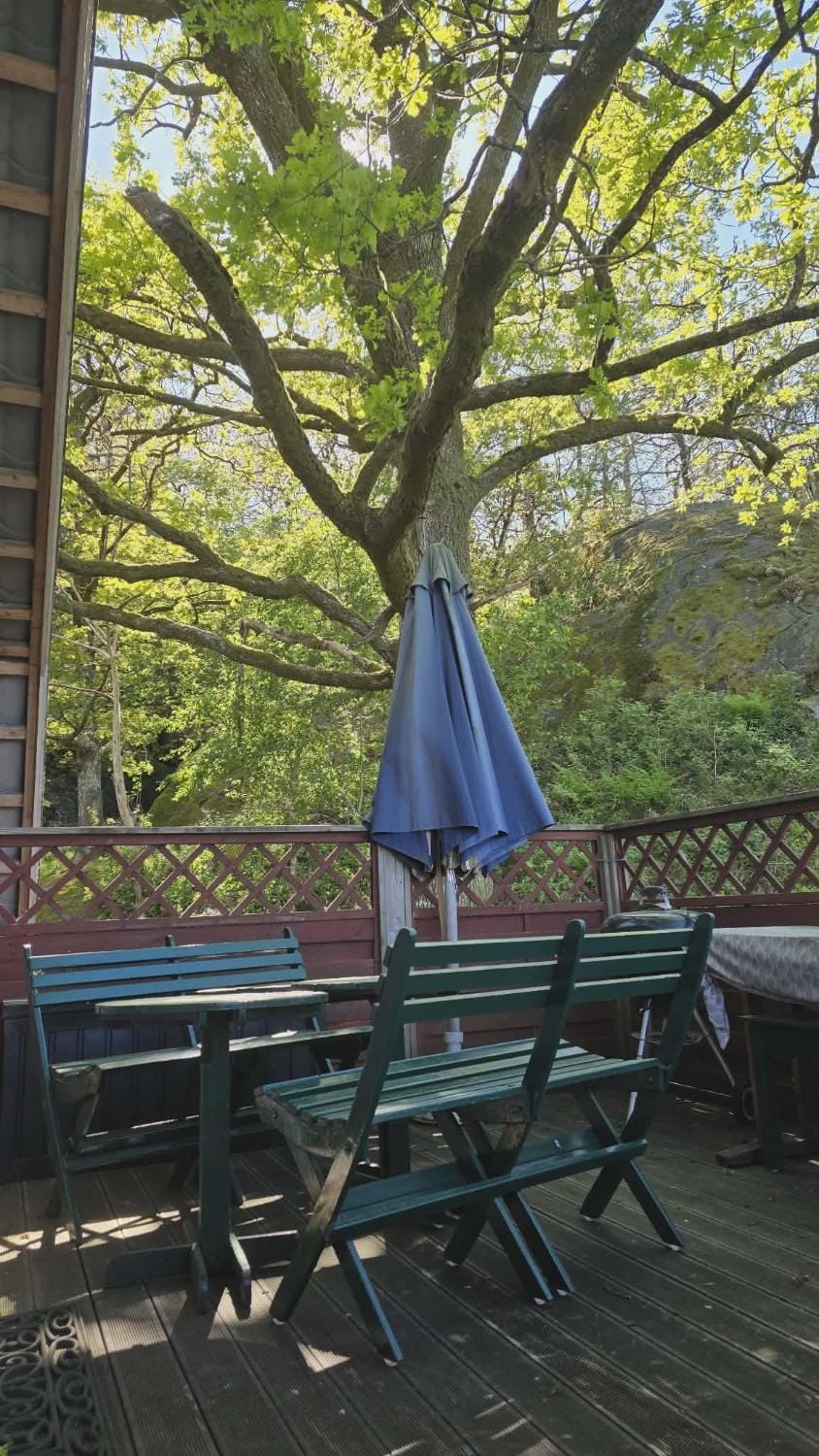 Day, Garden, Garden view