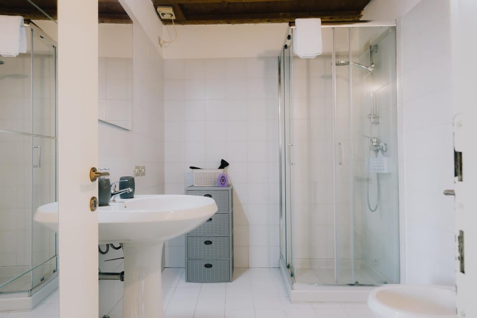 Shower, Toilet, Bathroom, towels
