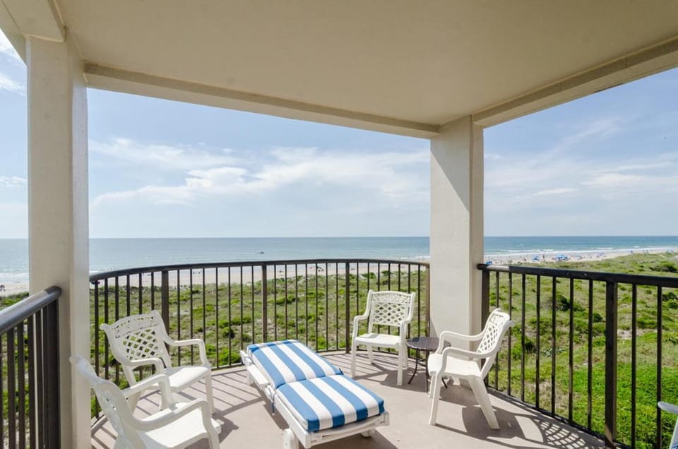 William the Cat by Bryant Real Estate House in Wrightsville Beach