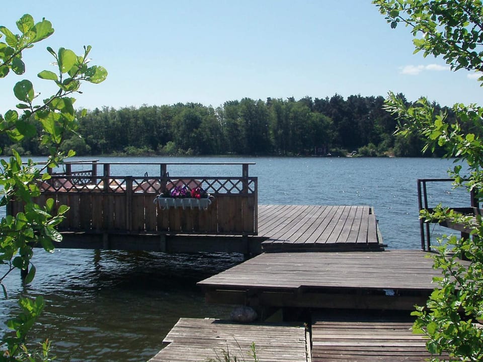 Lake view