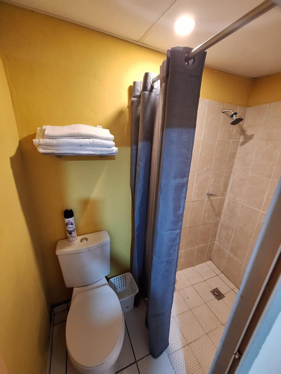 Shower, Bathroom, towels