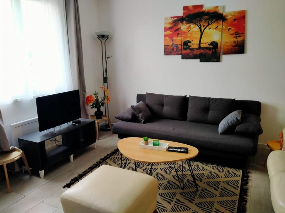 Appart Maison de ville Apartment in Bourges
