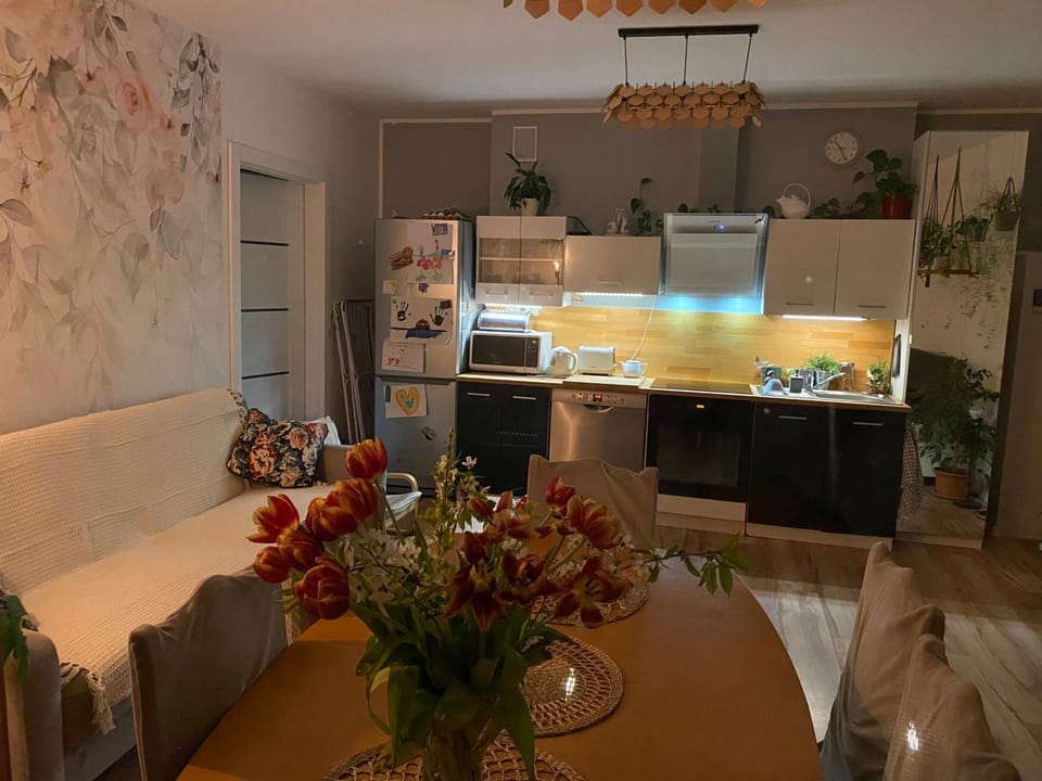 Apartament ,,Na Topolowej,, Ustronie Morskie Apartment in West Pomeranian Voivodeship, Poland