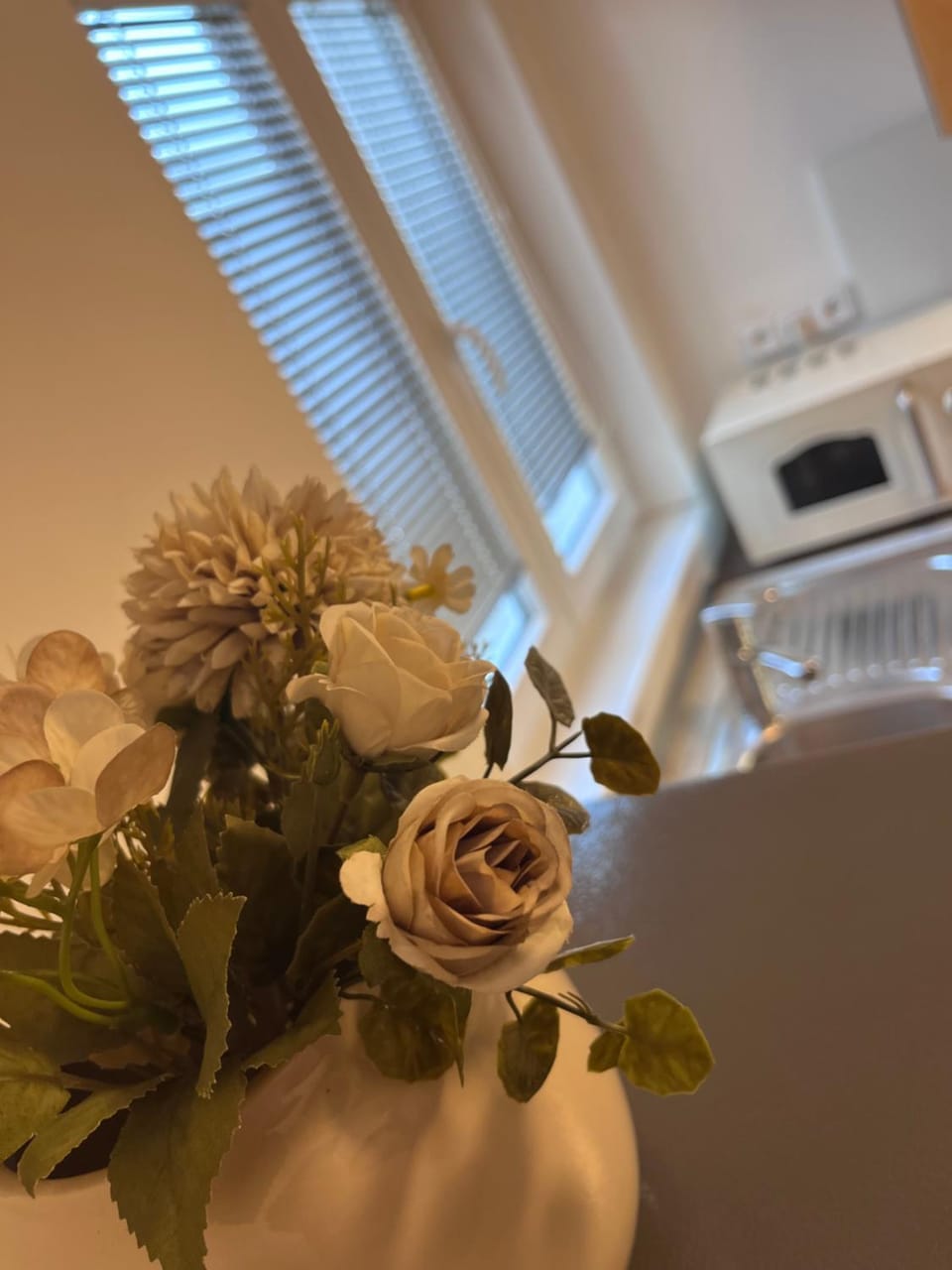 Apartmán Třemošná Apartment in Czechia