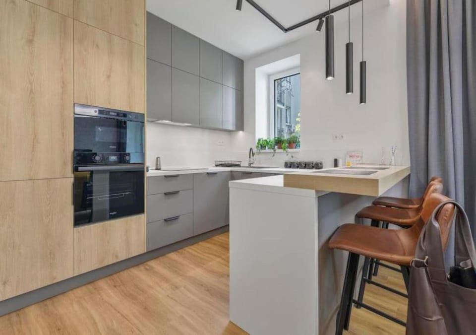 Kitchen or kitchenette, minibar, oven, stove