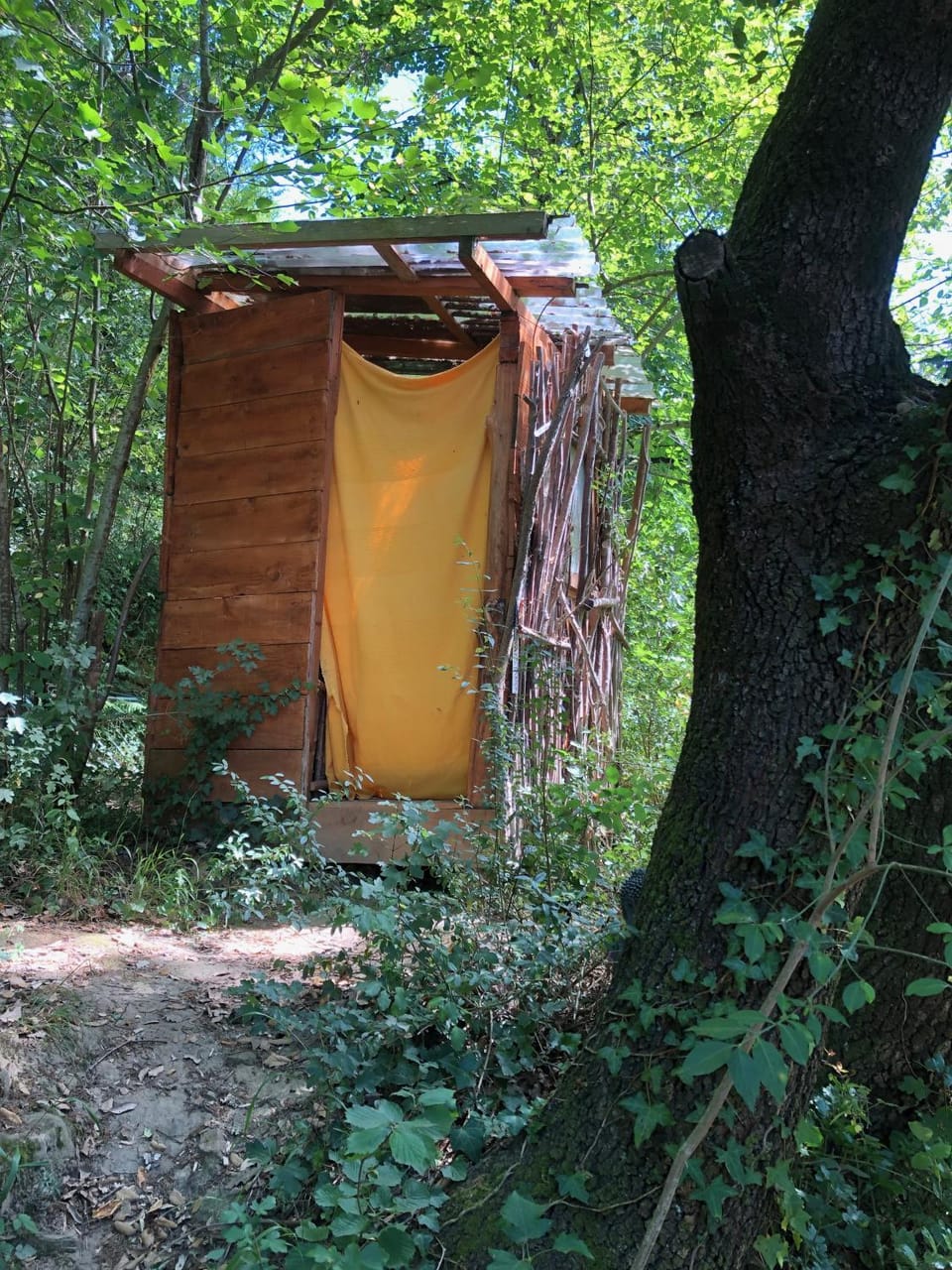 Yourte dans la forêt Luxury tent in Occitanie