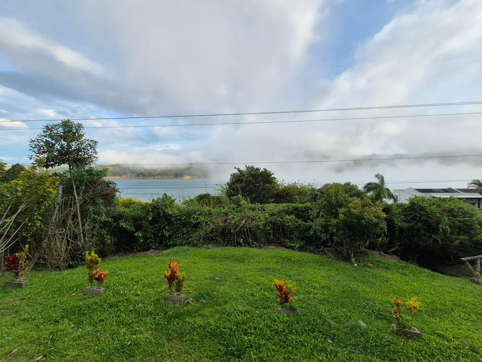 Day, Natural landscape, Garden, Garden view, Lake view