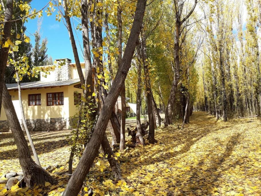Bosque de Sol cabaña 4 Apartment in Mendoza Province Province