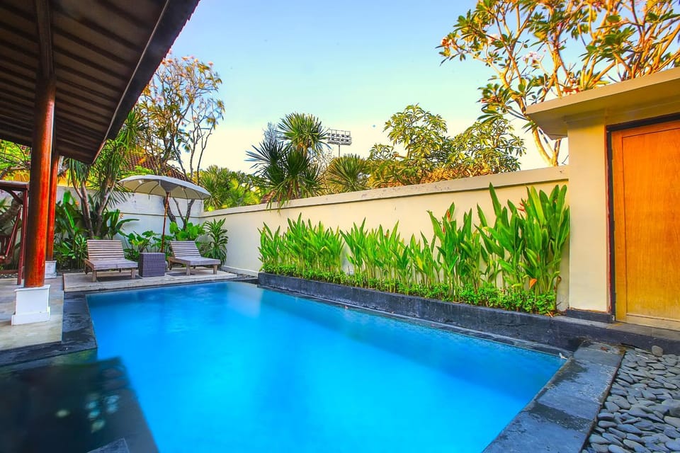 Property building, Day, Garden, Garden view, Pool view, Swimming pool, sunbed