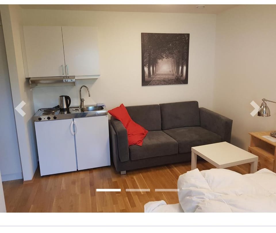 Hybelleilighet 4 pers ski-VM 2025 Apartment in Trondheim