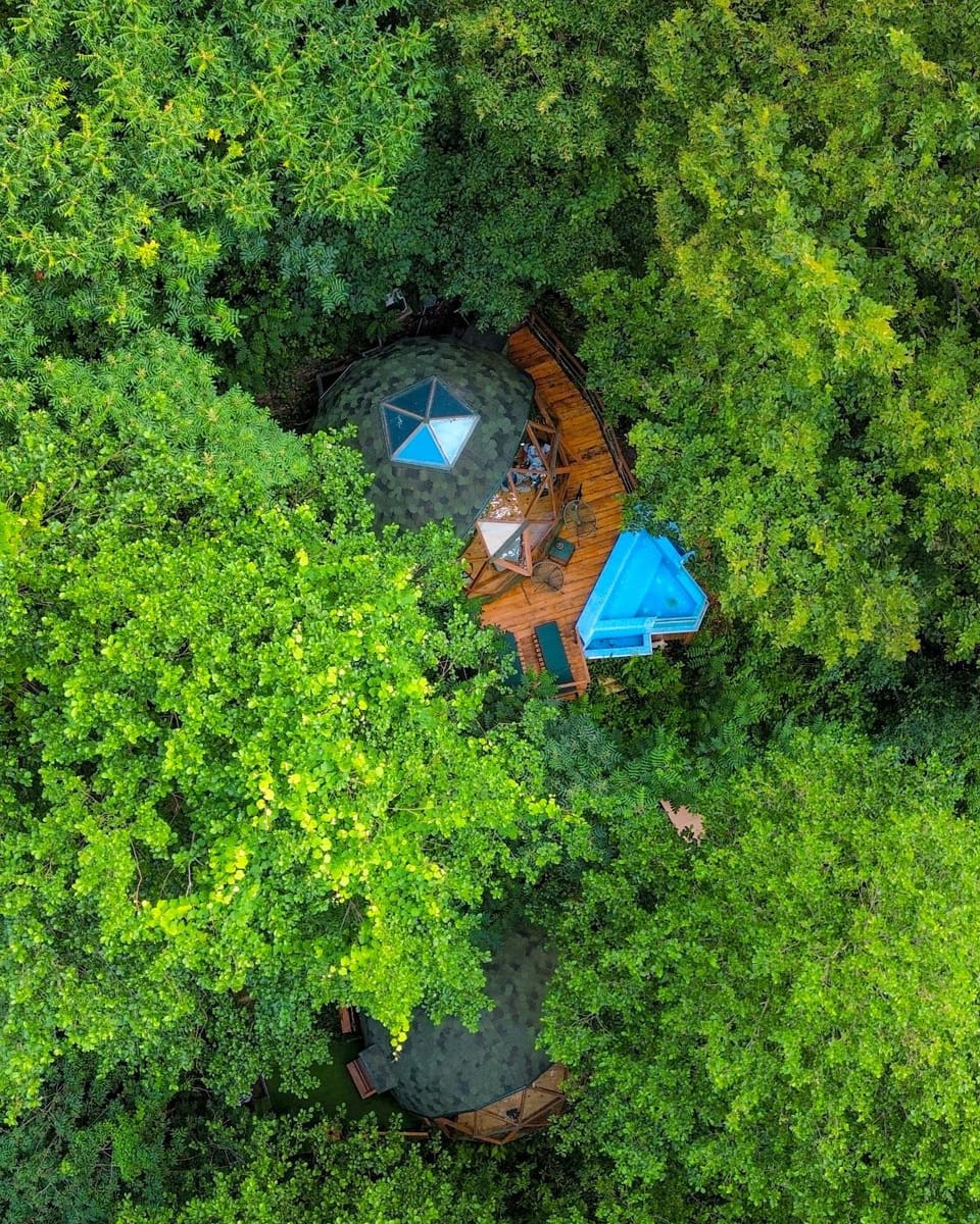 Property building, Garden, Swimming pool