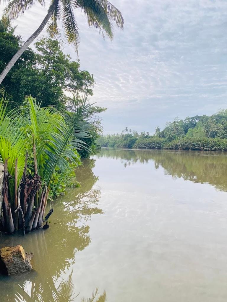 River view