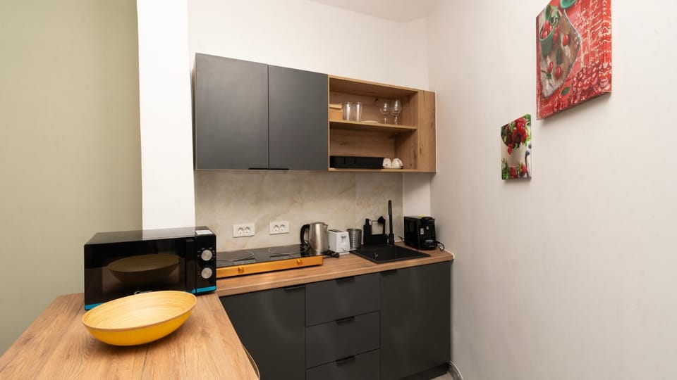 Downtown Tudor Arghezi House Apartment in Bucharest