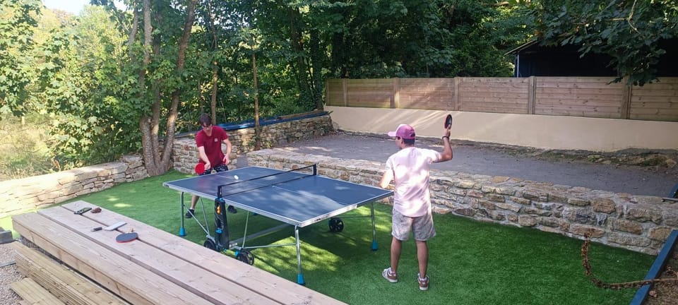 Table tennis, Sports
