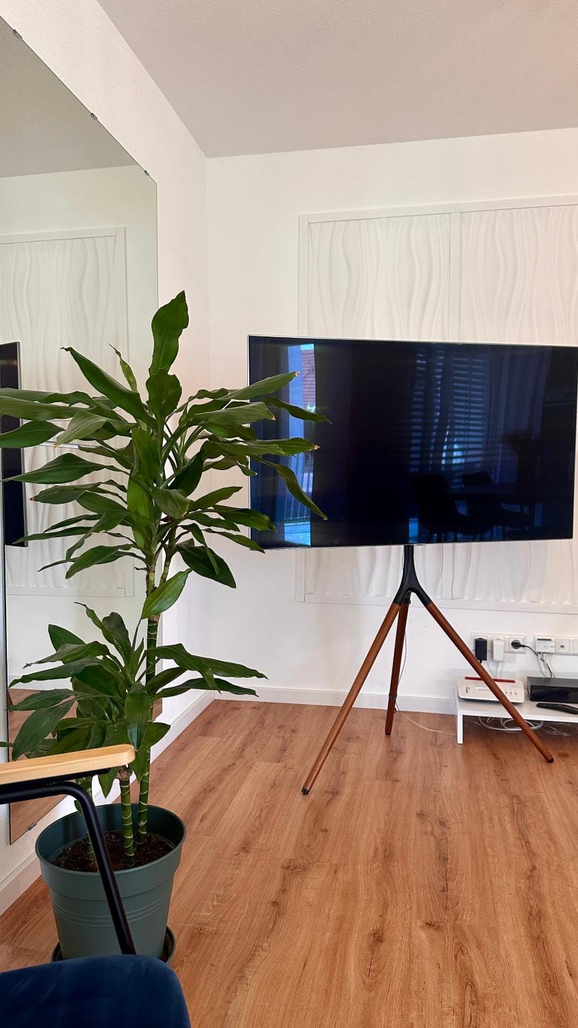 Communal lounge/ TV room, TV and multimedia