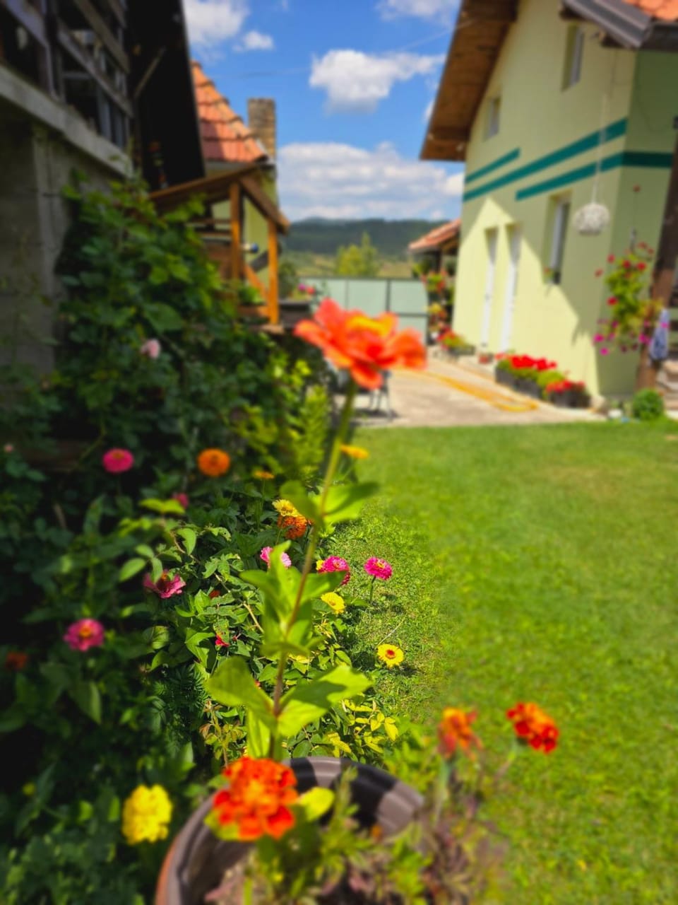 Property building, Garden, Garden view