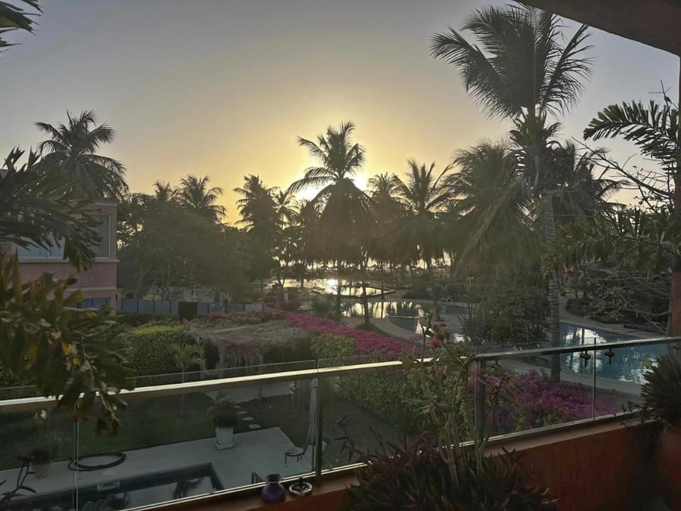 Natural landscape, Garden, Garden view, Pool view, Sunset