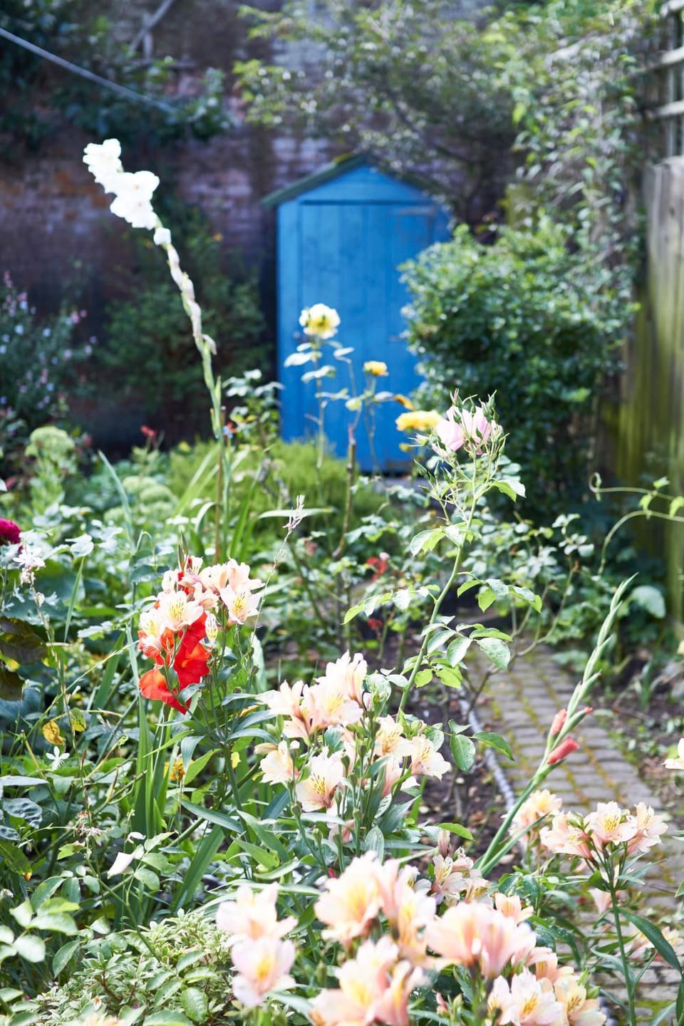 Spring, Day, Garden, Garden view