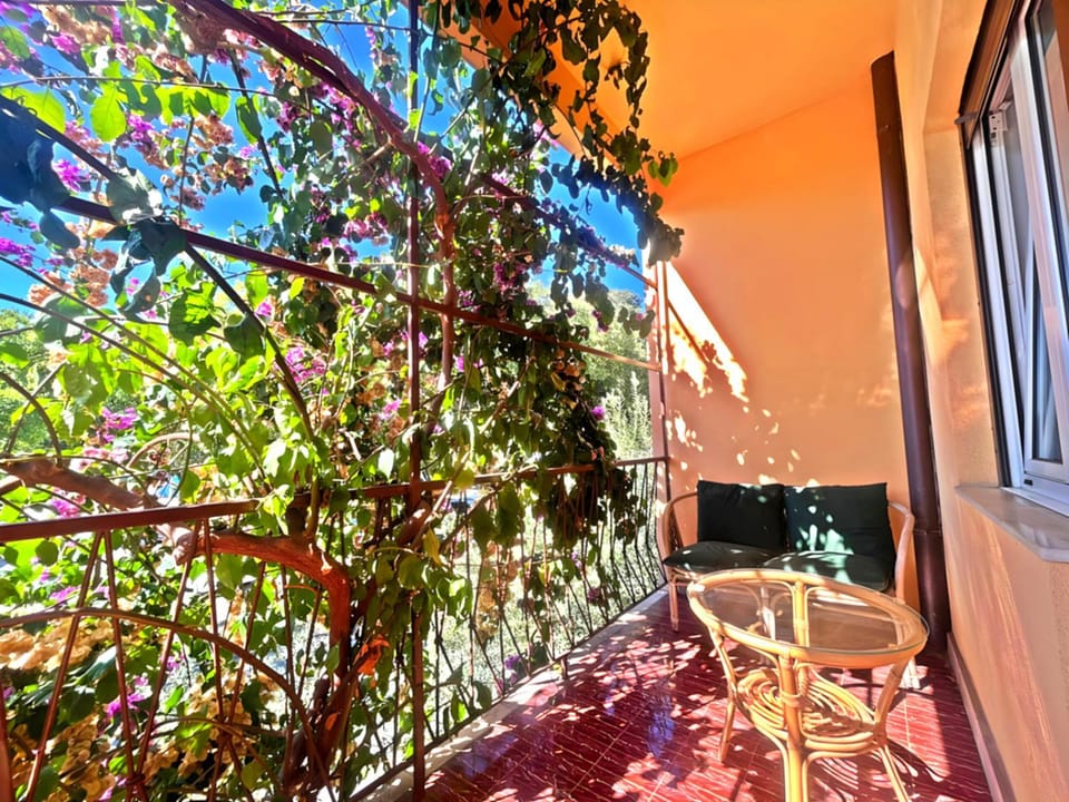 Day, Balcony/Terrace, Garden view, Landmark view, Street view