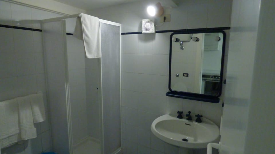 Shower, Bathroom, towels
