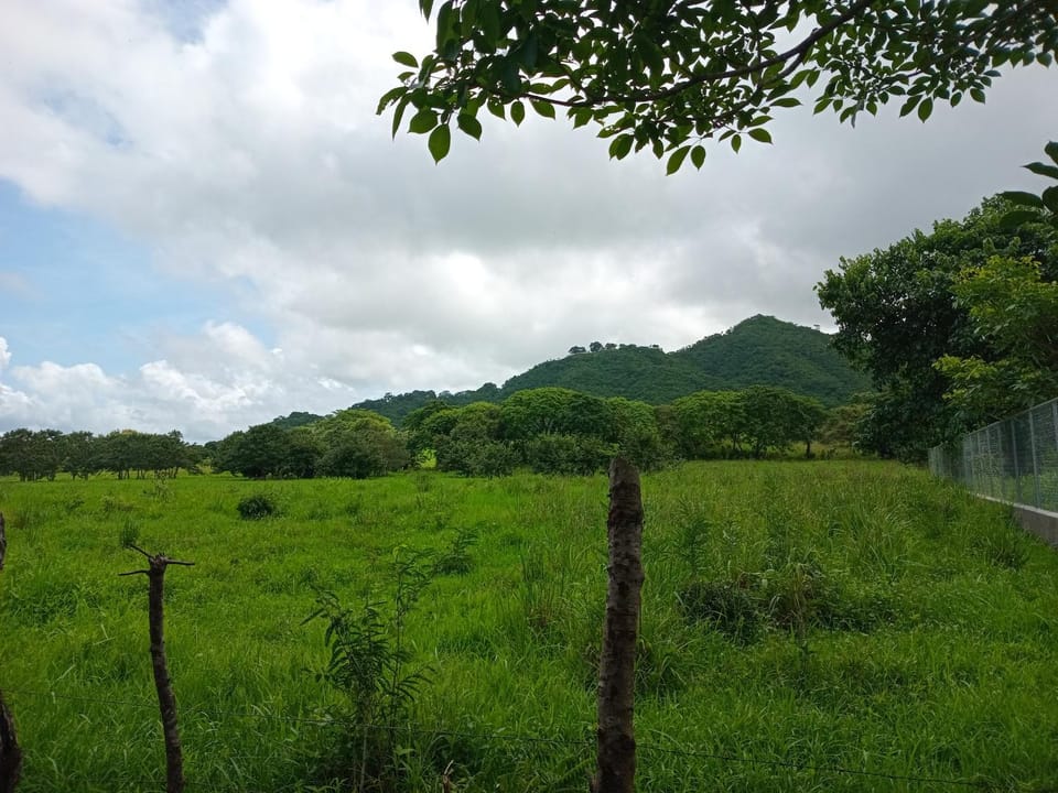 Natural landscape